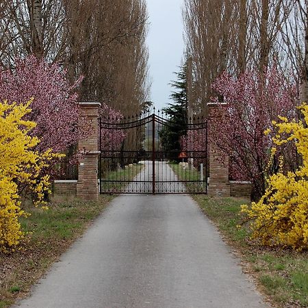 Agriturismo Corte Rocca San Giorgio di Mantova Екстер'єр фото