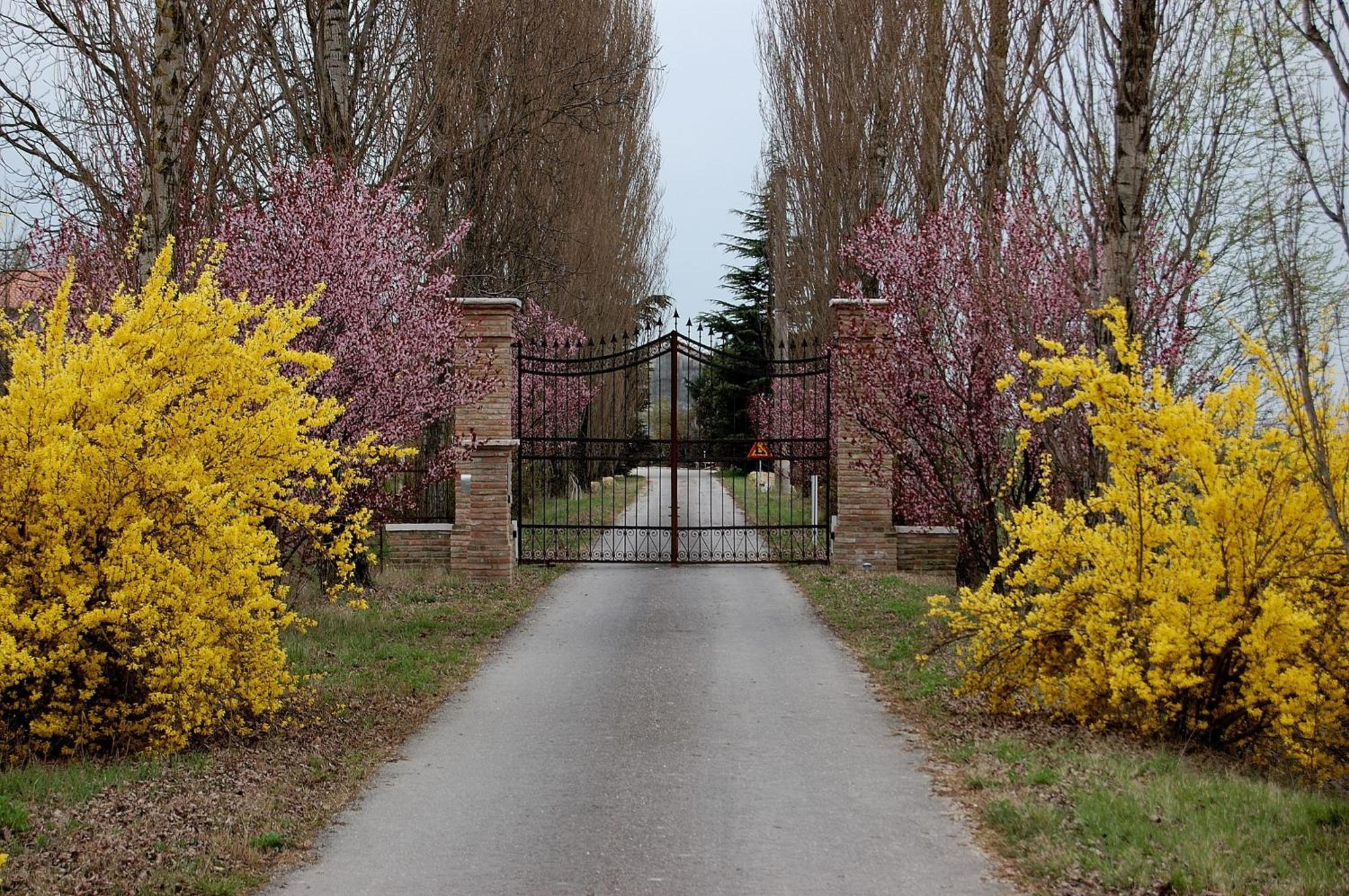 Agriturismo Corte Rocca San Giorgio di Mantova Екстер'єр фото