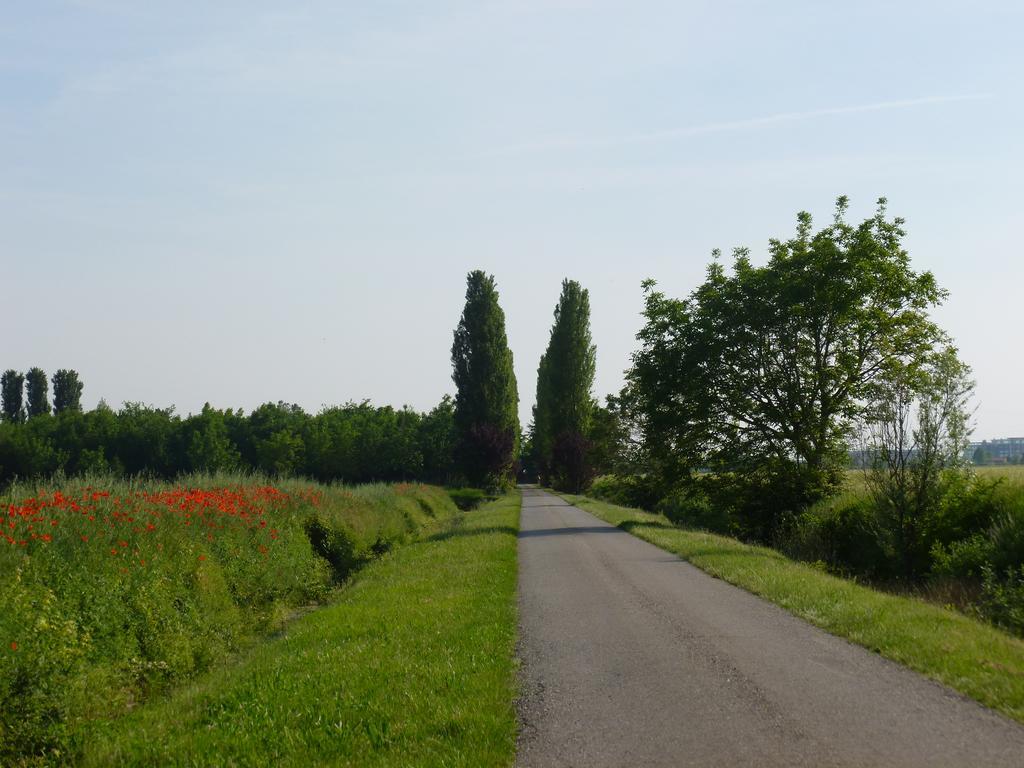 Agriturismo Corte Rocca San Giorgio di Mantova Екстер'єр фото